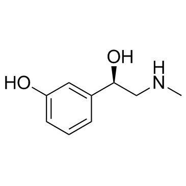 CAS:59-42-7	Phenylephrine	去氧肾上腺素  中试供应