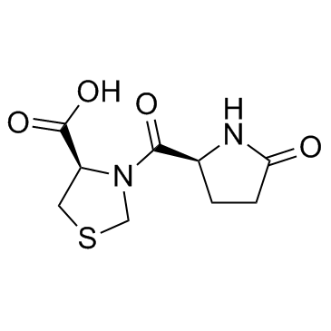 CAS:121808-62-6	Pidotimod	匹多莫德   规模供应 