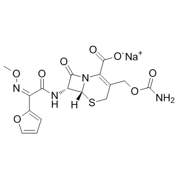 CAS:56238-63-2	Cefuroxime (sodium)	头孢呋辛钠    原料药供应 