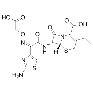 CAS:79350-37-1	Cefixime	头孢克肟  KG级 