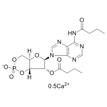 CAS:938448-87-4	Bucladesine (calcium)	Bucladesine钙盐    原料药供应