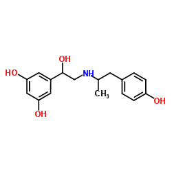 CAS:13392-18-2	Fenoterol	    非诺特罗     化合物合成