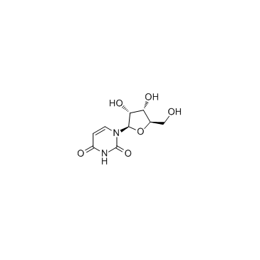CAS:58-96-8	Uridine	尿苷     原研药中间体供应  