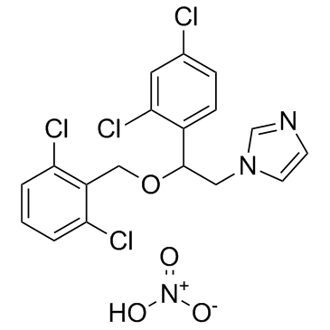 CAS:24168-96-5	Isoconazole (nitrate)	  硝酸异康唑  公斤级 