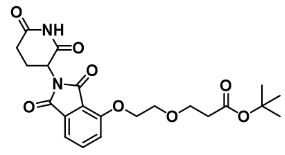CAS： 2499814-93-4         Thalidomide-O-PEG2-t-butyl ester            沙利度胺-O-二聚乙二醇-叔丁酯