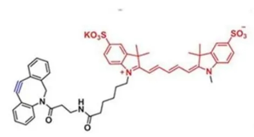 DBCO-Disulfo-Cy5  二苯并环辛炔-二磺酸-Cy5  花青素染料
