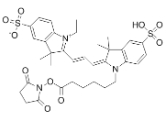 Sulfo-Cy3 NHS ester    磺化Cy3-N-羟基琥珀酰亚胺酯