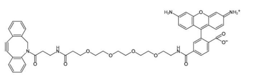 Carboxyrhodamine 110-PEG4-DBCO   羧罗丹明110-PEG4-DBCO   荧光标记染料