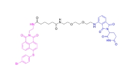 CAS:	2378801-85-3	PROTAC Bcl2 degrader-1
