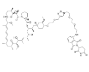 CAS:	2375555-66-9	FKBP12 PROTAC RC32     PROTACs（蛋白降解靶向嵌合体）