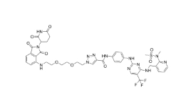 CAS:	2271035-37-9	FC-11    PROTACs（蛋白降解靶向嵌合体）