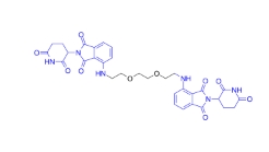 CAS:	2244520-98-5	Homo-PROTAC cereblon degrader 1   