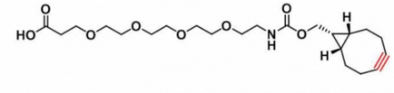 1421932-54-8   endo BCN-PEG4-acid   (endo)环丙烷环辛炔-四聚乙二醇-羧基