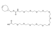 endo-BCN-PEG12-acid   PROTAC linker   点击化学试剂