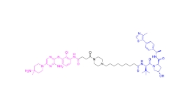 CAS:	2740582-16-3	SHP2 protein degrader-2   PROTACs（蛋白降解靶向嵌合体）