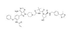 CAS:	2103331-95-7	PROTAC Her3 Degrader-8     PROTACs（蛋白降解靶向嵌合体）