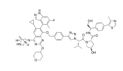 CAS:	2821793-99-9	KRAS G12D inhibitor 17    PROTACs（蛋白降解靶向嵌合体）