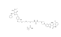 CAS:	2759351-69-2	Dovitinib-RIBOTAC TFA   PROTACs（蛋白降解靶向嵌合体）