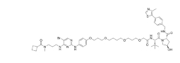 CAS:	2052306-13-3	PROTAC TBK1 degrader-2    PROTACs（蛋白降解靶向嵌合体）