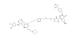 CAS:	3031336-58-7	PROTAC EGFR degrader 2   PROTACs（蛋白降解靶向嵌合体）