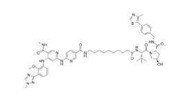 CAS:	2921556-14-9	PROTAC TYK2 degradation agent1   PROTACs（蛋白降解靶向嵌合体）