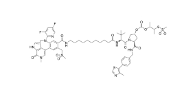 CAS:	2417370-90-0	PROTAC BRD4 Degrader-12   PROTACs（蛋白降解靶向嵌合体）