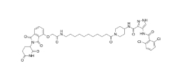CAS:	2935587-89-4	PROTAC CDK9 degrader-5   PROTACs（蛋白降解靶向嵌合体）