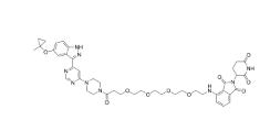 CAS:	2415900-86-4	JH-XII-03-02    PROTACs（蛋白降解靶向嵌合体）