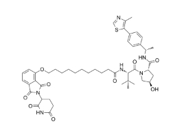 CAS:	2711006-74-3	ZXH-4-137    PROTACs（蛋白降解靶向嵌合体）