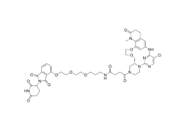 CAS:	2257479-54-0	BCL6 PROTAC 1   PROTACs（蛋白降解靶向嵌合体）
