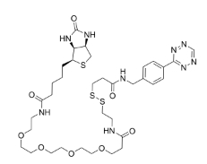 Tetrazine-SS-PEG4-Biotin   四嗪-二硫键-四聚乙二醇-生物素    点击化学试剂