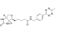 1802883-51-7    Biotin-MeTz   生物素MeTz-shiyi   点击化学试剂