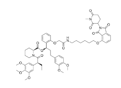 CAS:	2451573-90-1	dTAG-13-NEG    PROTACs（蛋白降解靶向嵌合体）