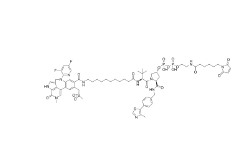 CAS:	2417370-71-7	PROTAC BRD4 Degrader-13    PROTACs（蛋白降解靶向嵌合体）