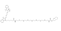  Cy5-PEG7-TCO    Cyanine 5 (Cy5) 染料衍生物   点击化学
