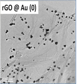 Nanoinnova负载金属纳米金粒子石墨烯