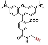 TAMRA alkyne,5-isomer     四甲基罗丹明-炔烃，5个异构体   荧光标记试剂
