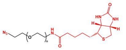 叠氮聚乙二醇生物素 N3-PEG-Biotin   生物素PEG叠氮   Biotin-PEG-Azide