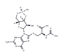 CAS:	2241669-85-0	Cys-C-cGMP	化合物 Cys-C-cGMP
