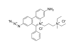 91416-20-5   Propidium monoazide   点击化学试剂   光反应性 DNA 结合染料