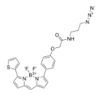 BDP TR azide   点击化学试剂   荧光染料