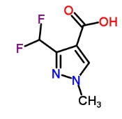 176969-34-9   3-(二氟甲基)-1-甲基-1H-吡唑-4-羧酸  3-(Difluoromethyl)-1-methyl-1H-pyrazole-4-carboxylic acid