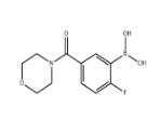 CAS:1072951-41-7	2-氟-5-(4-吗啉基甲酰基)苯硼酸	(2-Fluoro-5-(Morpholine-4-Carbonyl)Phenyl)Boronic Acid