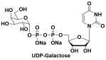 UDP-Α-D半乳糖二钠盐  