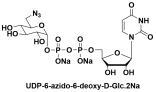 UDP-6-N3-Glucose 