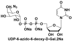UDP-6-叠氮-6-脱氧-D-半乳糖二钠盐  