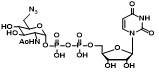 UDP-6-N3-GlcNAc 