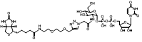  UDP-2-生物素基-GlcNAc  