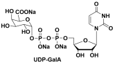 UDP-GALA  