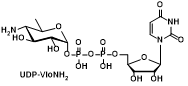 UDP-VioNH2    